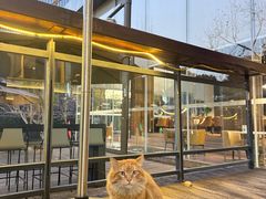 -上海虹桥宾馆味翠餐厅