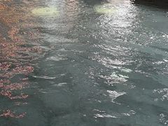 -8号公馆(金川街店)