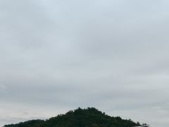 -野狸岛