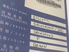 -申普宠物医院(总院)