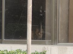 -纳吉亚猫专科动物医院博雅分院