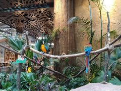 -杭州开元森泊度假乐园