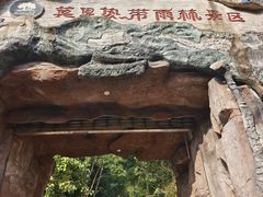 -莫里热带雨林景区