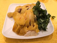 -黄B湛江鸡饭店(粤垦路店)