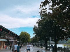 -溪口-滕头旅游景区