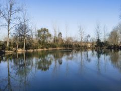 -溱湖国家湿地公园