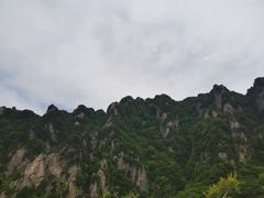 -王顺山国家森林公园