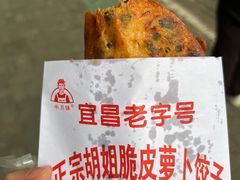 -半月镰胡姐脆皮萝卜饺子
