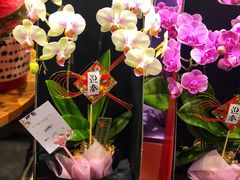 -豆豆花艺(新光天地店)