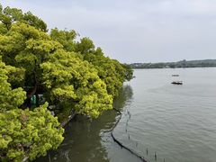 -湖畔居茶楼(湖滨店)