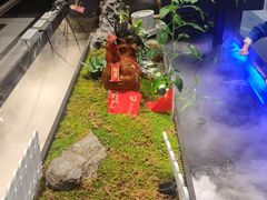 -山涧肴·湘味家肴(松岗满纷天地店)
