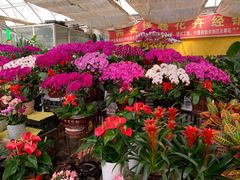 -秦美花卉(天朗·莱茵小城2期店)