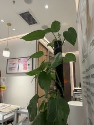 点击看大图 -指典艺术美甲美睫