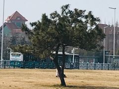 -汇泉广场