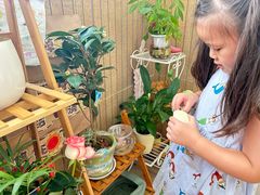 -上海青草地幼儿园