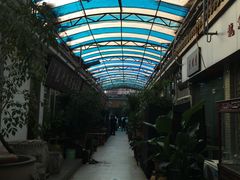 -武汉花鸟市场