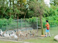 -前小桔亲子创意农场·草莓采摘·露营烧烤