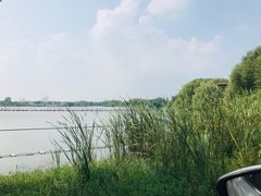 -东湖落雁景区