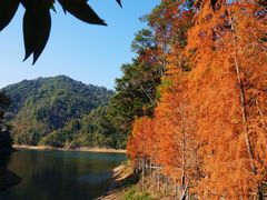 -广州市石门国家森林公园