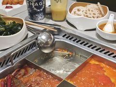 -海底捞火锅(赛格国际购物中心店)