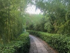 -烟水渔庄餐厅(西溪湿地店)