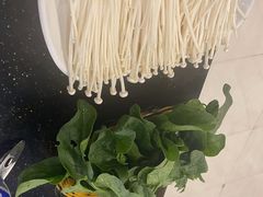 -草墩罗非鱼庄•野生菌•腊排骨(七星街上段店)