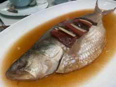 -蝶园·装修中(BFC外滩金融中心店)