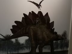 -安徽省地质博物馆