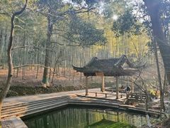 -西湖风景区十里琅珰-五云山