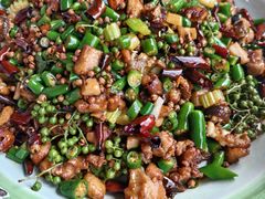 -铁山坪森林公园