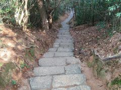 -武夷山风景名胜区-虎啸岩