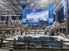 -杭州长乔极地海洋公园