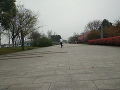 -九里河湿地公园