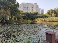 -苏州河梦清园环保主题公园