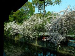 -棠湖公园