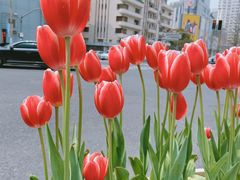 -静安雕塑公园