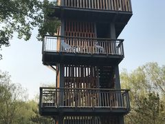 -东郊湿地公园