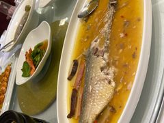 -骏莱海鲜鱼港(五角场店)