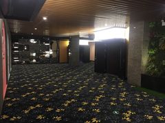 -CMC大光明影城(莲花店)