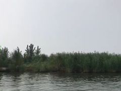 -白洋淀景区