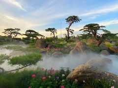 -罗红摄影艺术馆