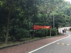 -火炉山森林公园