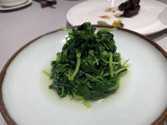 清炒鸡毛菜-屋里厢上海菜馆