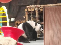 -东莞香市动物园