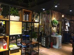 -藤野造型·专业烫染店
