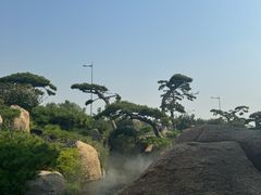 -罗红摄影艺术馆