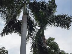 -广州市白云山风景名胜区