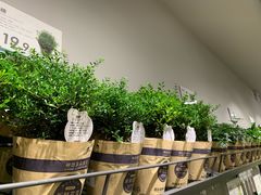 -鹿岛会员店 (龙湖三千集天街店)