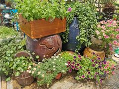 -又见炊烟私房菜(敬亭路店)