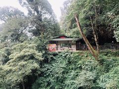 -云南屏边大围山国家公园